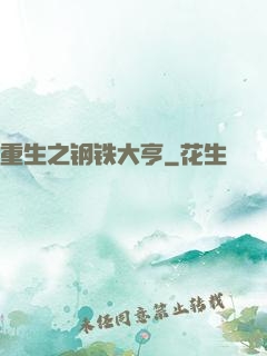 重生之钢铁大亨