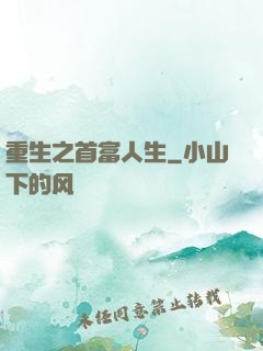 重生之首富人生