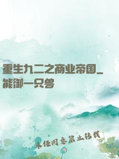 重生九二之商业帝国