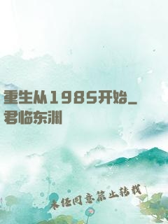 重生从1985开始