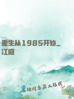 重生从1985开始