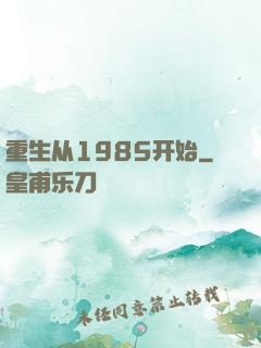 重生从1985开始