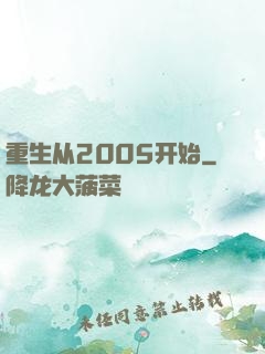 重生从2005开始