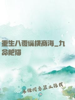 重生八零纵横商海