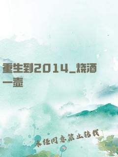 重生到2014
