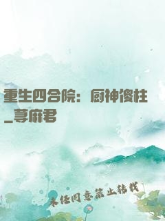 重生四合院：厨神傻柱