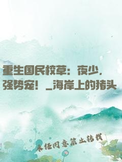 重生国民校草：夜少，强势宠！