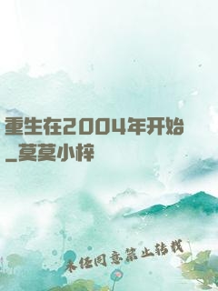重生在2004年开始