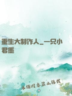 重生大制作人