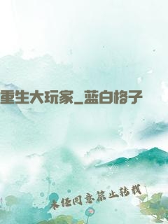 重生大玩家
