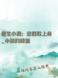 重生小妻：总裁欺上身