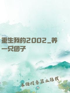 重生我的2002