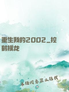 重生我的2002