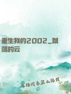 重生我的2002