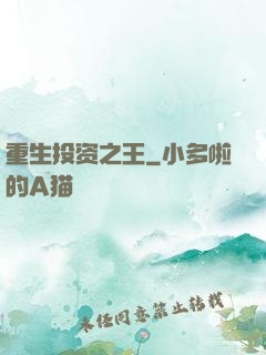 重生投资之王