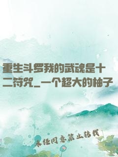 重生斗罗我的武魂是十二符咒
