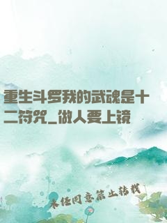重生斗罗我的武魂是十二符咒