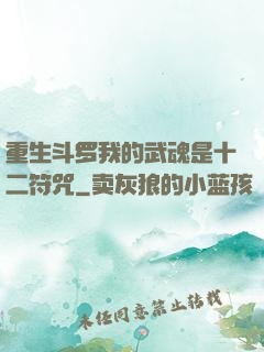 重生斗罗我的武魂是十二符咒