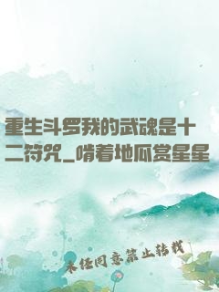 重生斗罗我的武魂是十二符咒