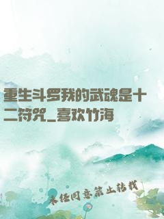 重生斗罗我的武魂是十二符咒