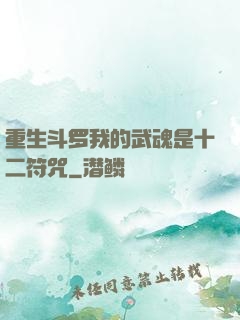 重生斗罗我的武魂是十二符咒
