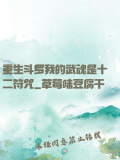 重生斗罗我的武魂是十二符咒