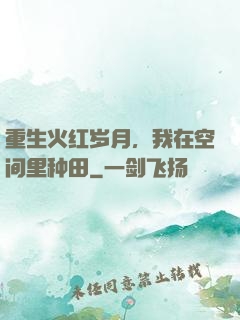 重生火红岁月，我在空间里种田