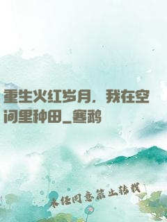 重生火红岁月，我在空间里种田