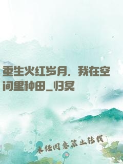重生火红岁月，我在空间里种田