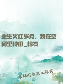 重生火红岁月，我在空间里种田