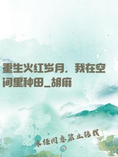 重生火红岁月，我在空间里种田