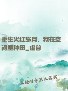 重生火红岁月，我在空间里种田