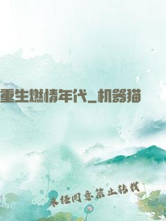 重生燃情年代