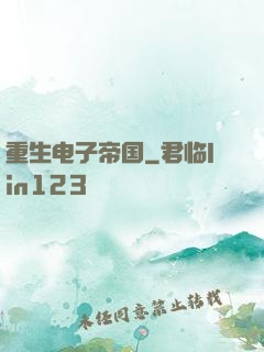 重生电子帝国