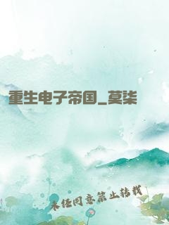 重生电子帝国