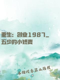重生：创业1987