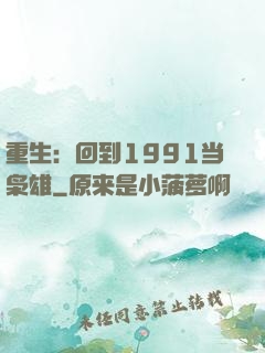 重生：回到1991当枭雄