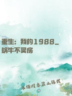重生：我的1988