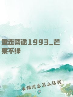 重走警途1993