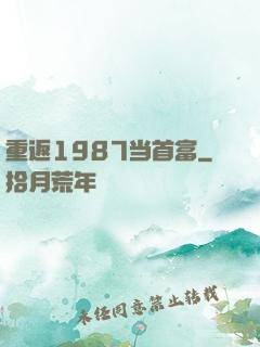 重返1987当首富