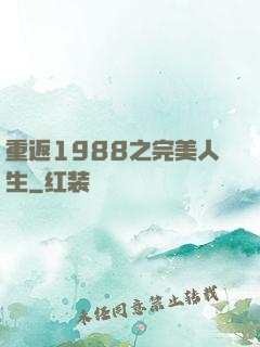 重返1988之完美人生