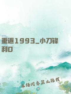 重返1993