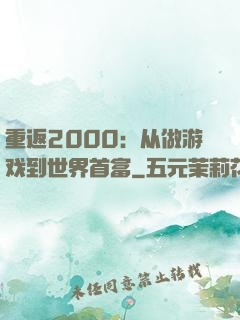 重返2000：从做游戏到世界首富