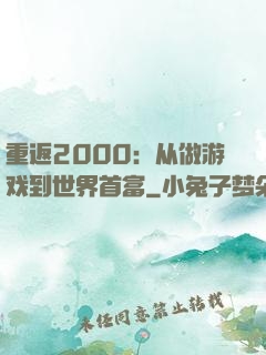 重返2000：从做游戏到世界首富