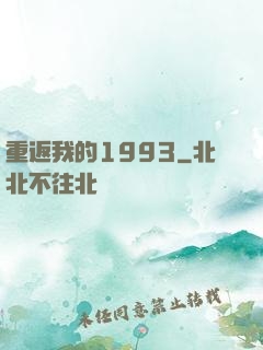 重返我的1993