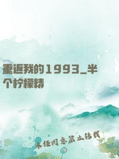 重返我的1993