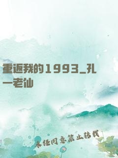 重返我的1993