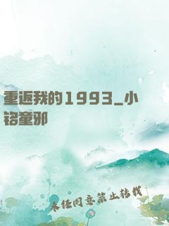 重返我的1993