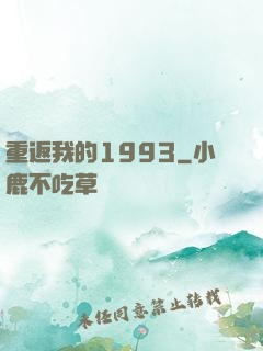 重返我的1993
