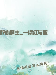 野心领主